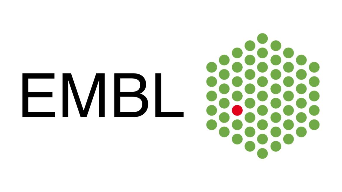 embl.jpg