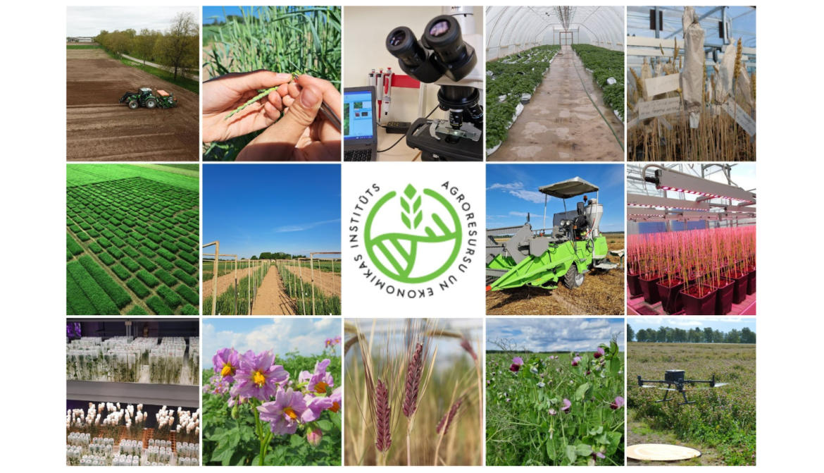 web-researchLatvia-zinatne-Latvijai-vizualis (49).png web-researchLatvia-zinatne-Latvijai-vizualis (49).png