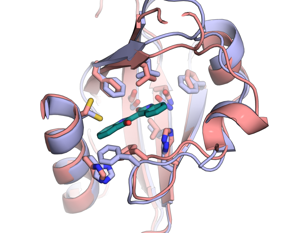 homology_alignment3-1536x1268.png homology_alignment3-1536x1268.png