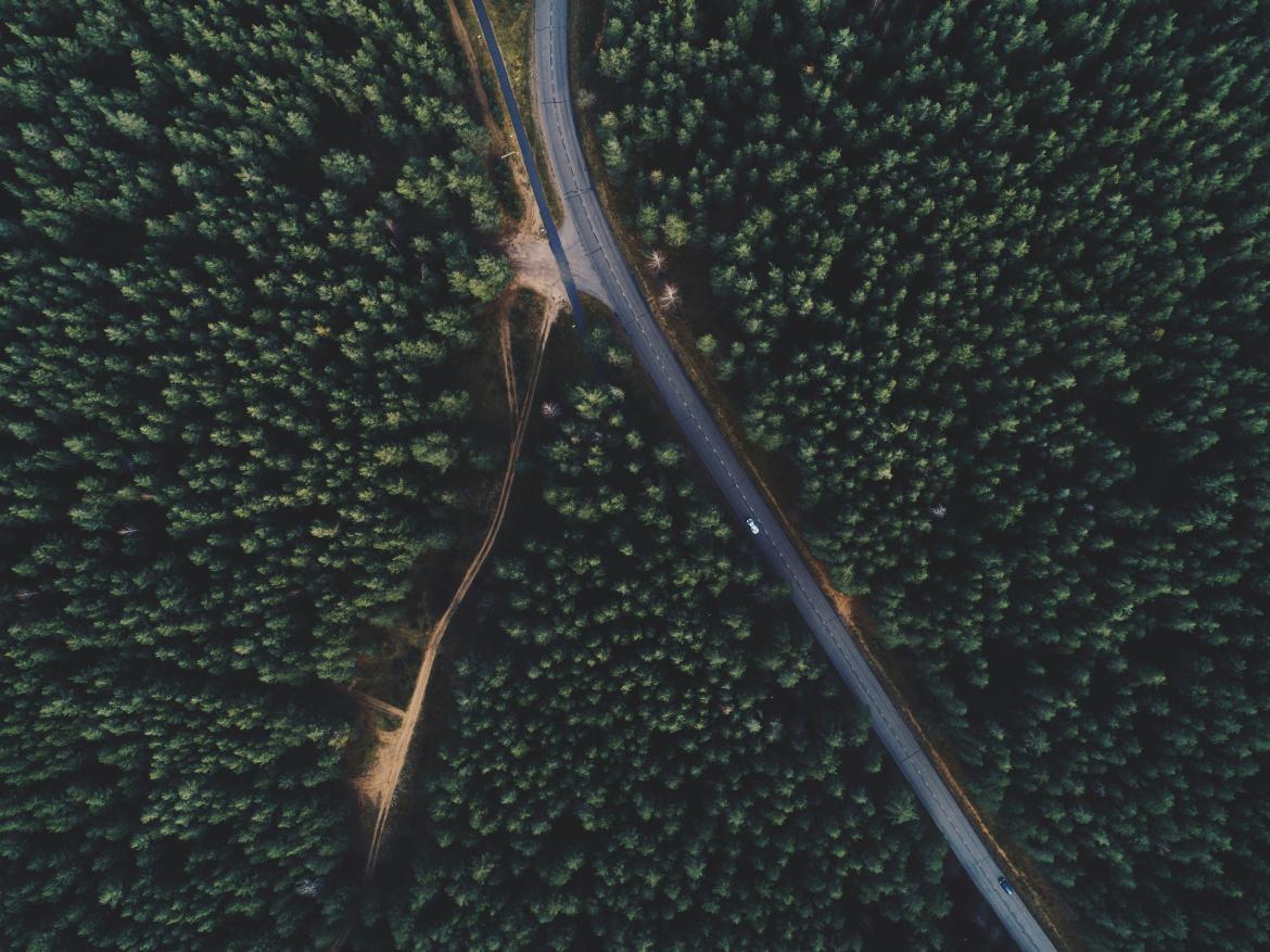 ivars-utinans-PFzoYlil3HE-unsplash.jpg ivars-utinans-PFzoYlil3HE-unsplash.jpg