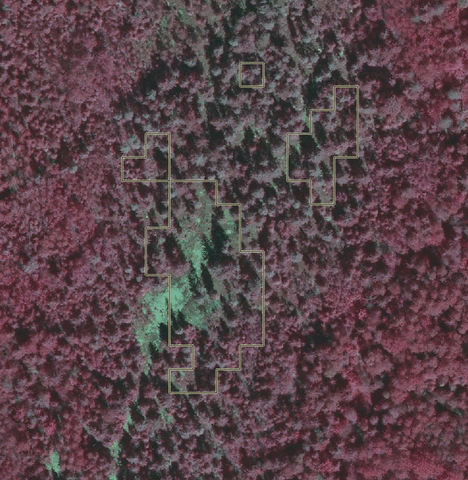 ezgif.com-animated-gif-maker.gif ezgif.com-animated-gif-maker.gif