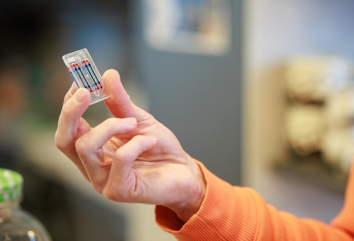 Mikrofluidikas cips_ CellBox Labs.jpg Mikrofluidikas cips_ CellBox Labs.jpg