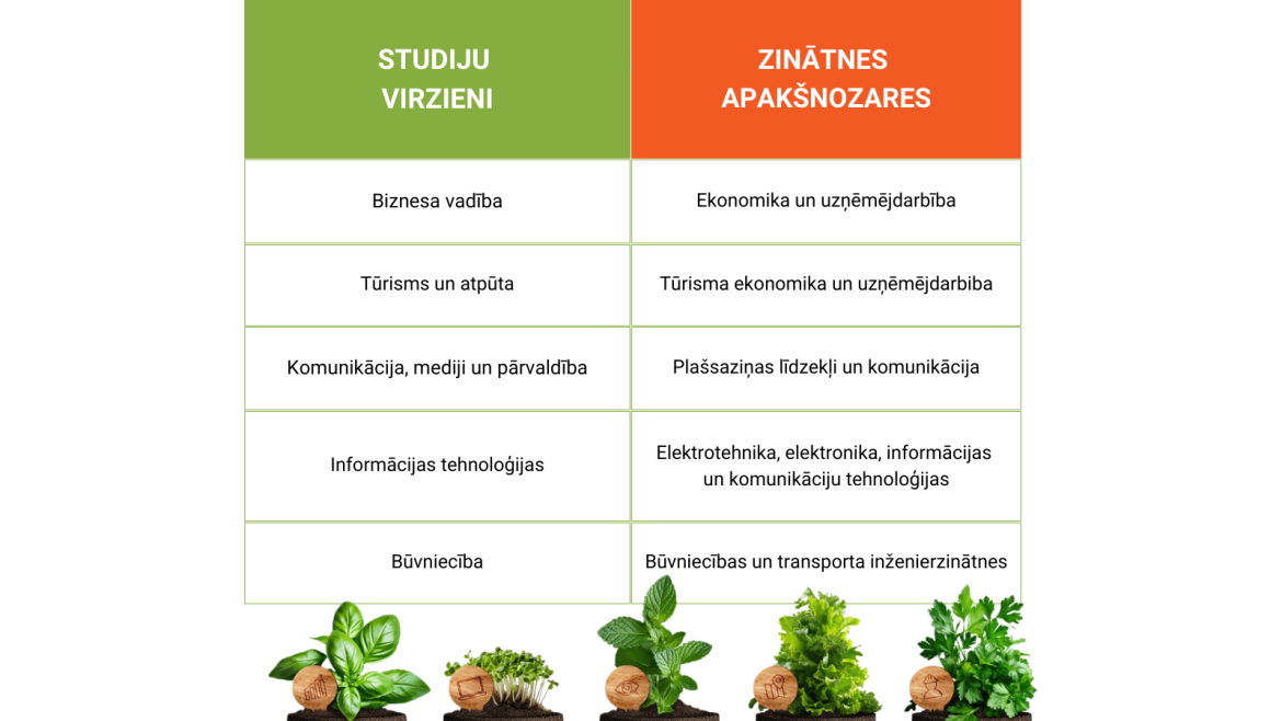 ViA_tabula_zināte.png ViA_tabula_zināte.png
