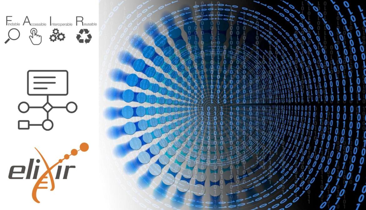 Launch of ELIXIR RNA Data Focus Groupon.jpg Launch of ELIXIR RNA Data Focus Groupon.jpg