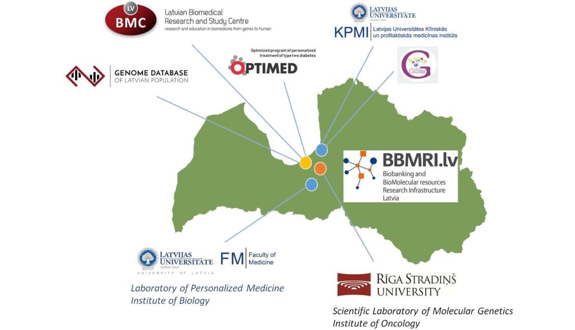 projekts PERIFORMANCE.jpg projekts PERIFORMANCE.jpg