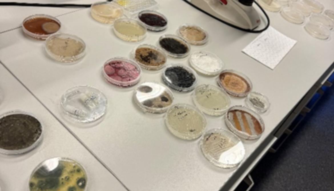 Neredzamās pasaules atklāšana.jpg