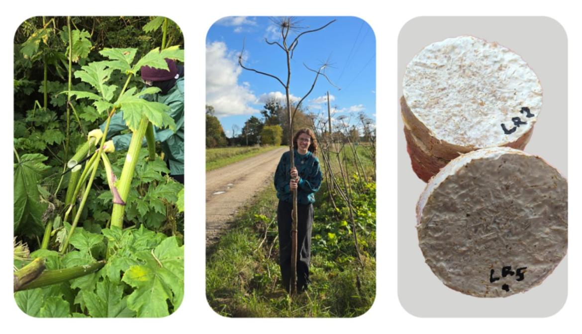 LVKĶI latvāņi.jpg