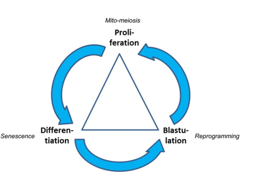 8dcbd65e1b504cf67097f96ae2a567bd_L-900x675.jpg 8dcbd65e1b504cf67097f96ae2a567bd_L-900x675.jpg