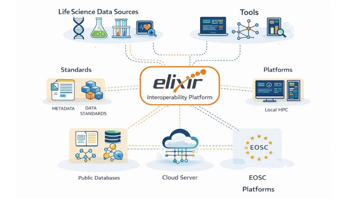 ELIXIR platforms.jpg ELIXIR platforms.jpg