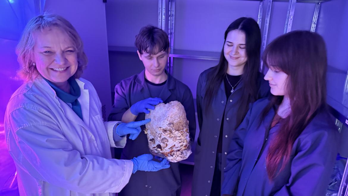 IMG_2632.jpeg IMG_2632.jpeg