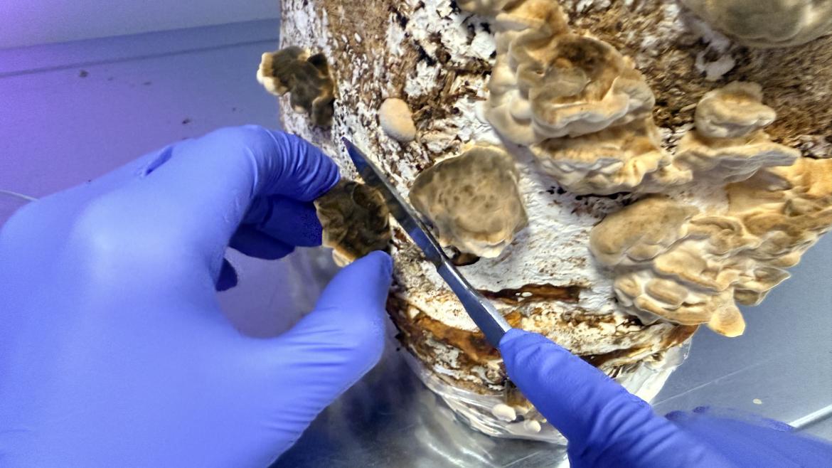 IMG_2642.jpeg IMG_2642.jpeg