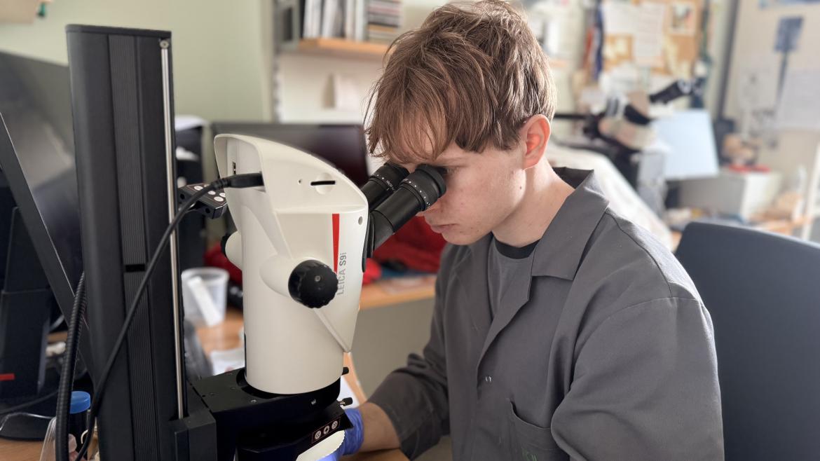 IMG_2666.jpeg IMG_2666.jpeg