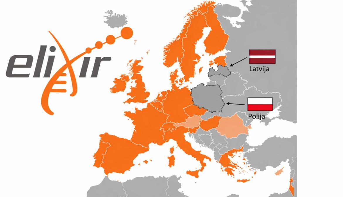 Elixir _LV_POL.jpg