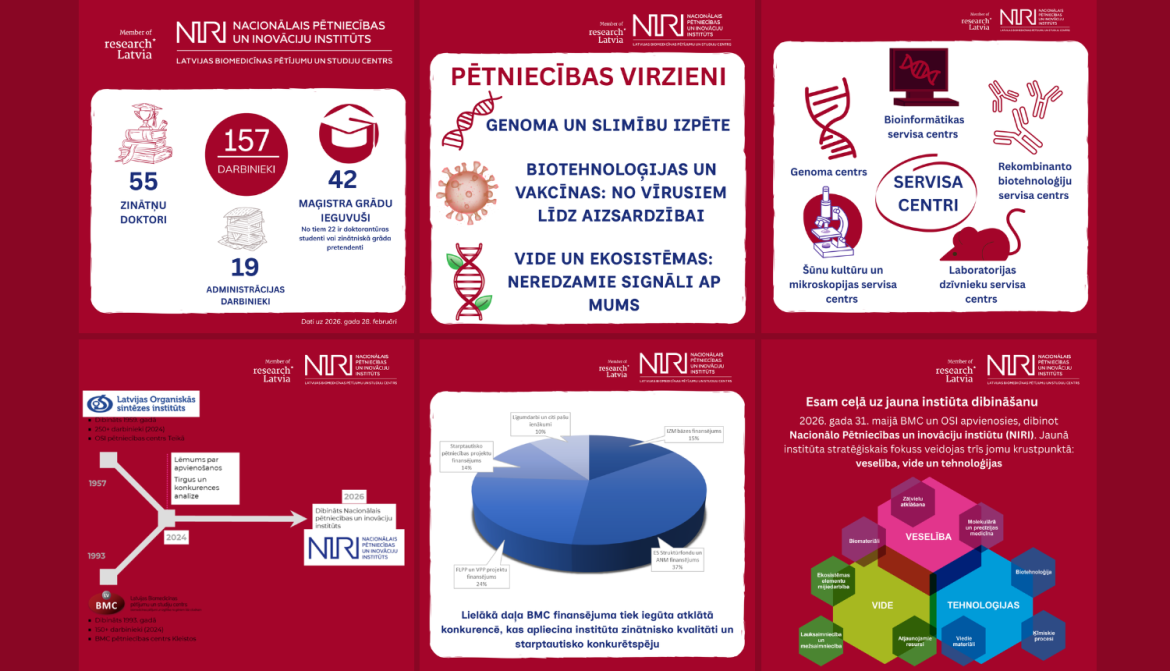 RL titulattēli (28).png