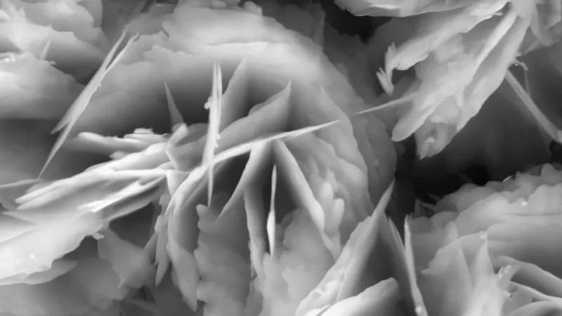 Zinc oxide (ZnO) through a microscope. Copyright_ Catalyco.jpeg