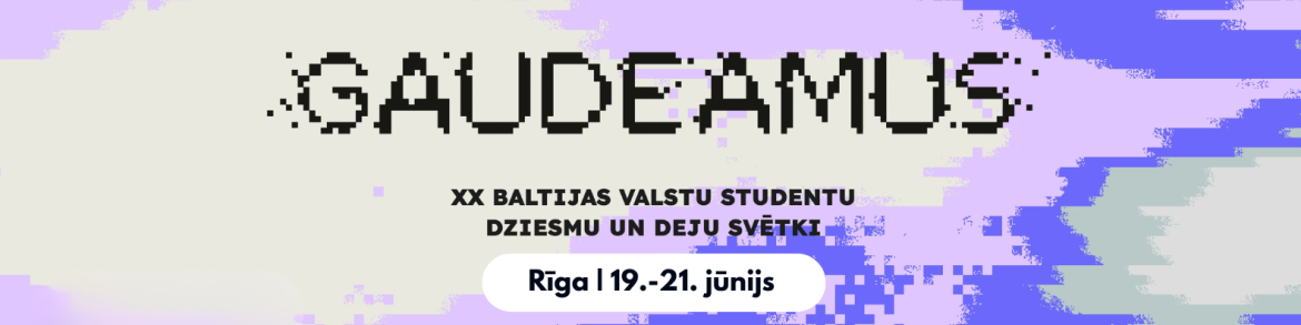 bilde rakstam4.png
