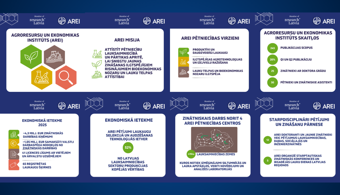 infografika par AREI institūta pētniecību