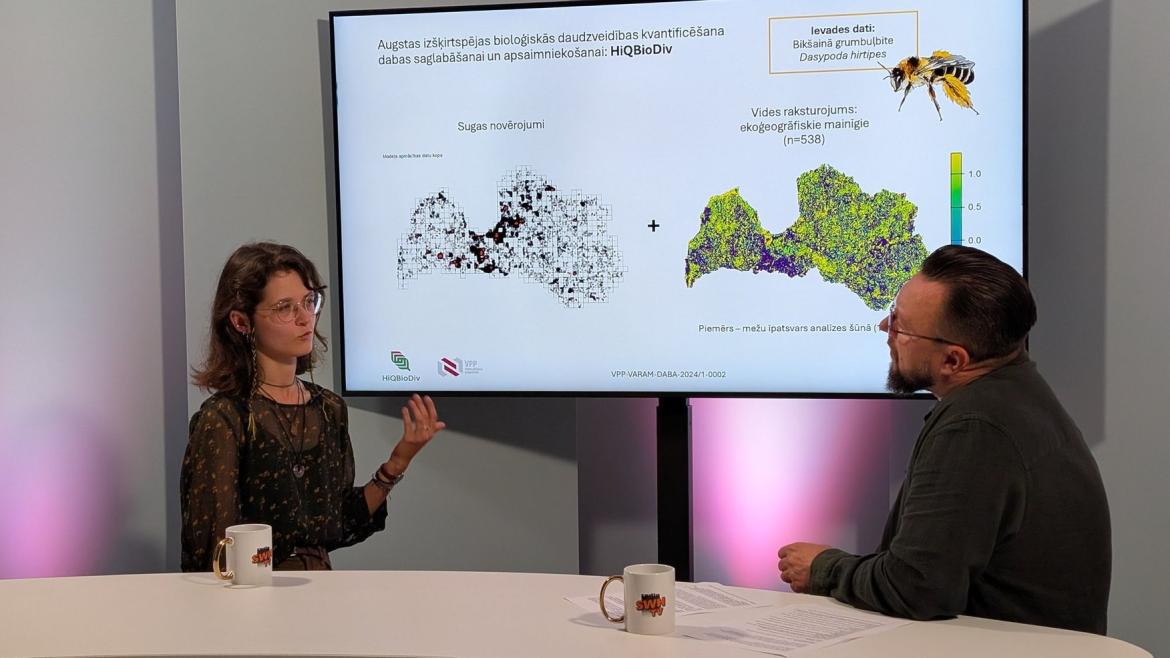 Pētniece radio studijā raidījuma vadītājam stāsta par bišu saglabāšanu